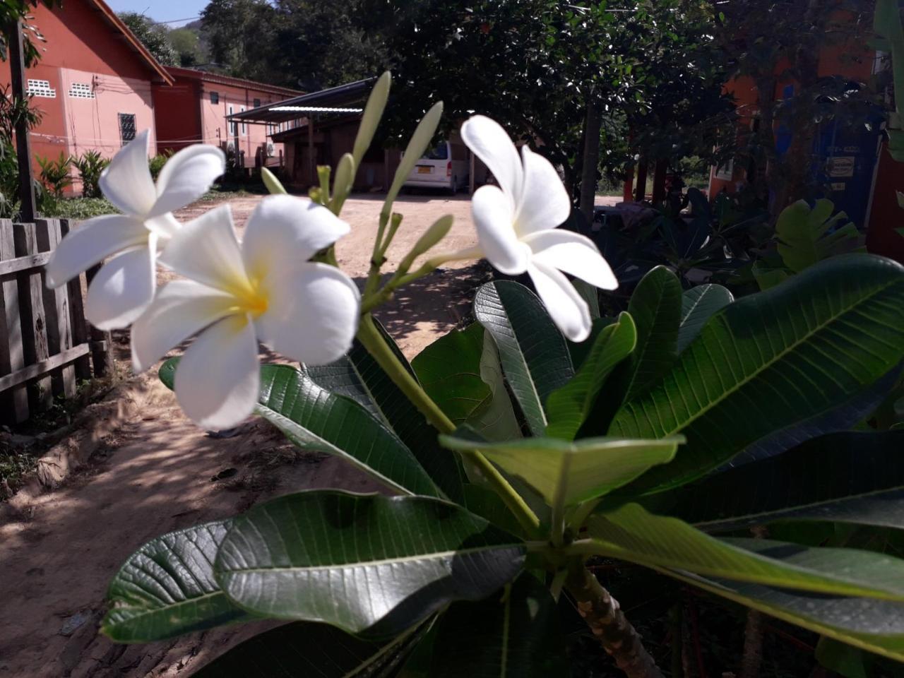 Lanta Lucky House Otel Ko Lanta Dış mekan fotoğraf